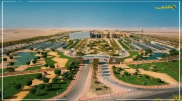 30 فرصة تعليمية كاملة.. جامعة الأمير محمد بن فهد تطلق مبادرة إنسانية وتكشف عن شروط القبول لهذه الفئة 1